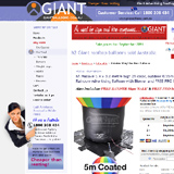 Giant Balloons roof top and event advertising